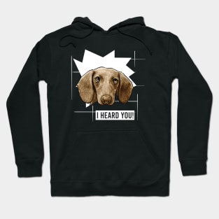 Funny Dachshund I Heard You Hoodie